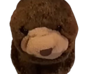 :Snug_: