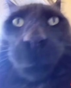:chat_1: