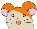 :Hamtaro_shock: