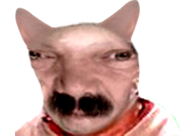 :miaouimmonde: