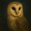Photo de profil de Chouette
