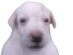 :Purer: