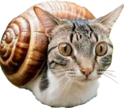 :Escargochat: