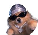 :doggo_gansta: