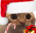 :chat_limite_noel_2: