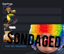:SONDAGED_3: