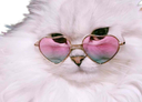 :Team_Chat_Cleyette: