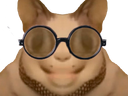 :chat_flippant_lunettes:
