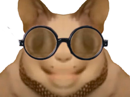 :chat_flippant_lunettes: