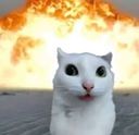 :chat_zieute_explosion:
