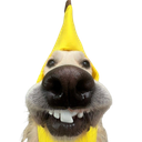 :Chien_banane_: