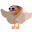 Photo de profil de Bobcotlepulco
