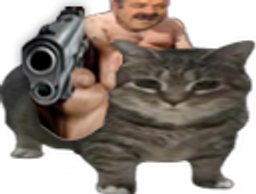 :MontureGun: