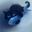 Photo de profil de PoissonChaton