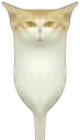 :VraiChamiroir:
