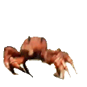 :Crabe_dance: