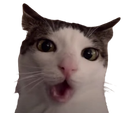 :oh_: