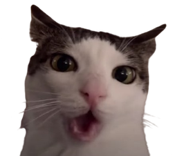 :oh_: