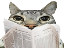 :CS_Journal: