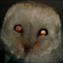 :Chouetyeuxrouges: