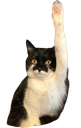 :Chat_main2: