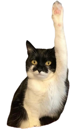 :Chat_main2: