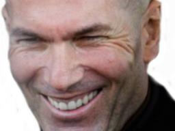 :zizou_sourire: