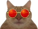 :chat_selec: