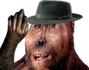 :Paranthrope_chouffin: