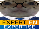 :Exper: