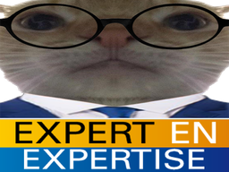 :Exper: