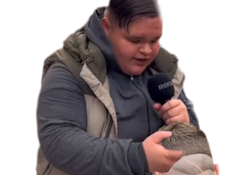 :pirouettehomo: