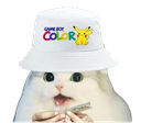 :cattoxboy: