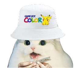 :cattoxboy: