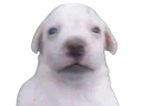 :Purait: