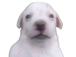 :Purait: