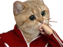 :sodium_poing: