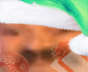 :2LoinExotique: