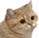 :Sainte: