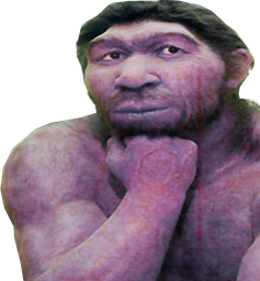 :homo_penseur:
