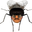 Photo de profil de Moustique