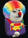 :Chienclown: