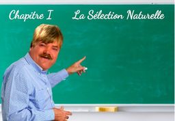 :S_Nat: