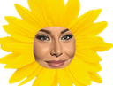:mqfleur: