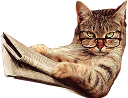 :Chat_journal: