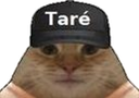 :Tare_1_detoure: