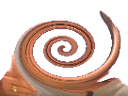 :risispirale:
