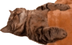 :Nuit2chat: