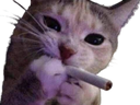 :chat_clope: