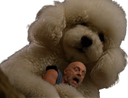 :Poupetto_soral: